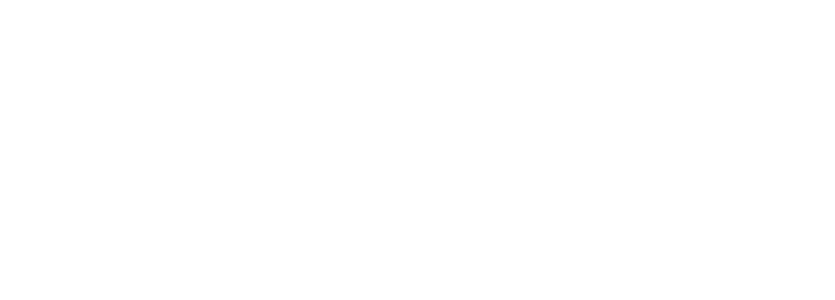 Pintote